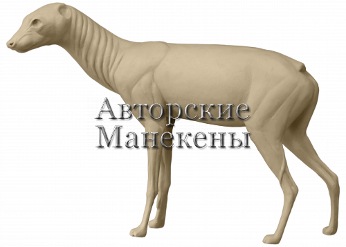 Манекен волк земляной (ардвульф) ВЛЗМ-2 Л