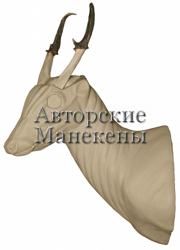 Манекен мунтжак индийский МИНТ-1 Л