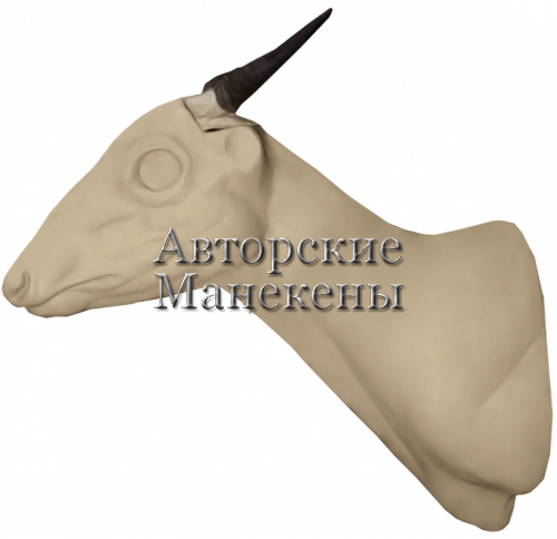 Манекен дукер рыжий (Петерса) ДУРТ-1