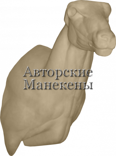 Манекен баран Марко-Поло БМПТ-4 П