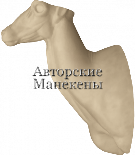 Манекен баран снежный (сибирский) БРСТ-3