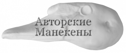 Голова лебедь-шипун