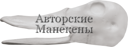 Голова кряква (селезень) (открытый клюв)