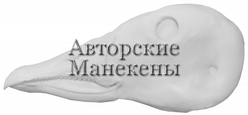 Голова гусь гуменник тундряной