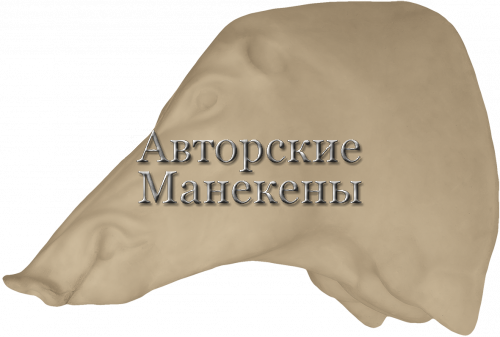 Манекен кабан КБНТ-3-3