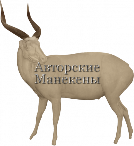 Манекен бонго БОНМ-1 Л