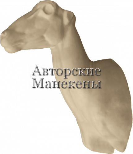 Манекен баран Марко-Поло БМПТ-2