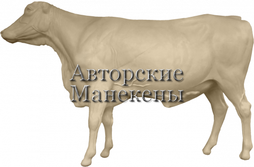Манекен корова КРВМ-1