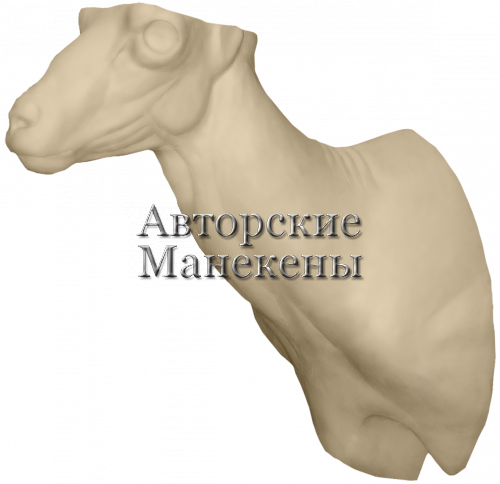 Манекен баран снежный (камчатский) БРСТ-4