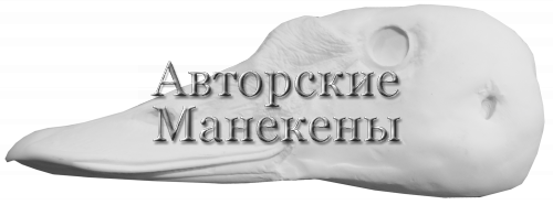 Голова лебедь тундряной