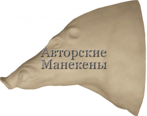 Манекен кабан КБНТ-5-3