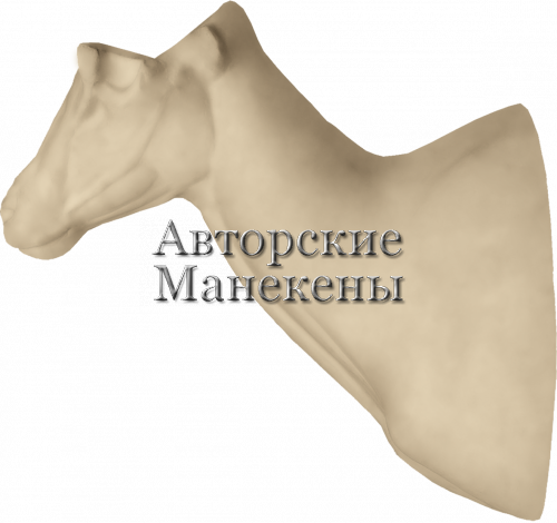 Манекен архар Северцова АСВТ-1