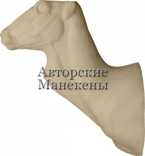 Манекен дзерен монгольский МДЗТ-1