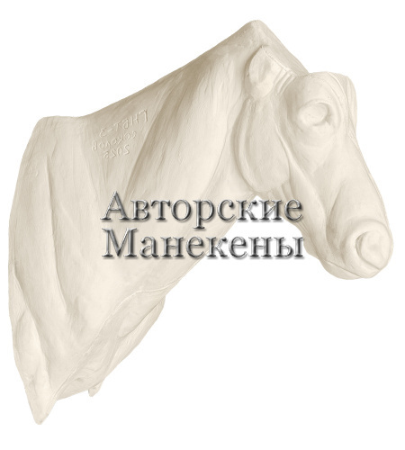 Манекен гну черный (белохвостый) ГНБТ-3