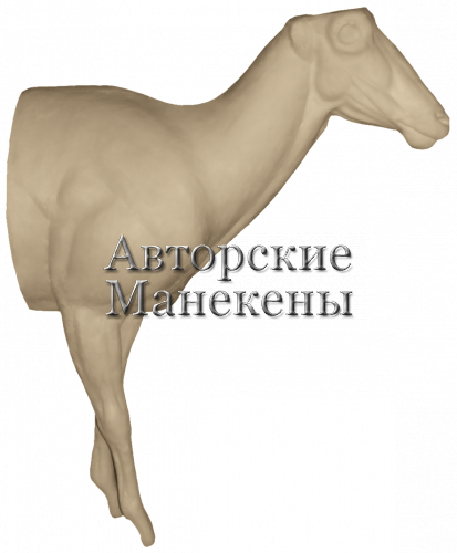 Манекен аудад (гривистый баран) АУДМ-1 1/2