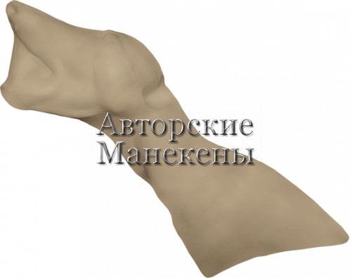 Манекен волк европейский ВЛКП-1 Л