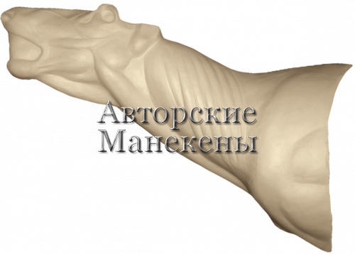 Манекен олень благородный ОЛБП-1 Л