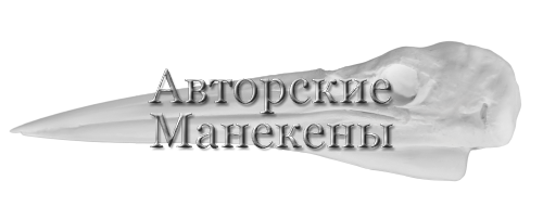 Голова цапля серая