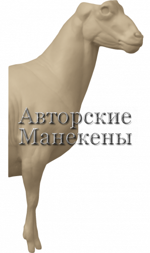Манекен козерог альпийский КЗРМ-1 П 1/2