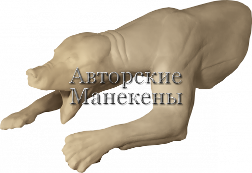 Манекен медведь бурый МДВМ-16 1/2