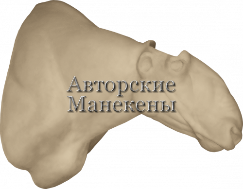 Манекен такин ТАКТ-1